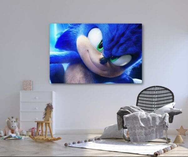 Fotoobraz #13 Sonic5 60x40cm